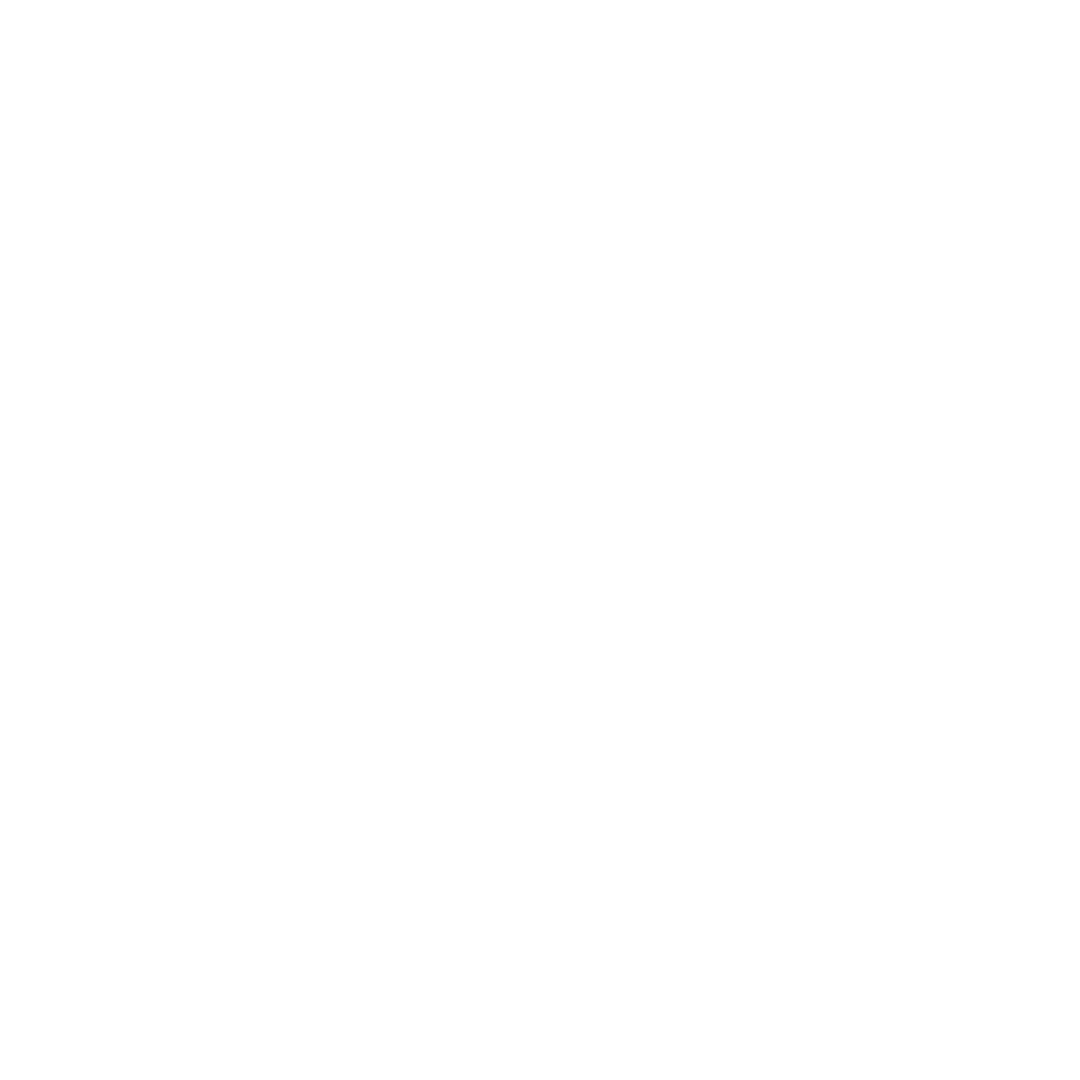VΛLΞNTYR Logo negativ Logo des WBI-Partners VALENTYR