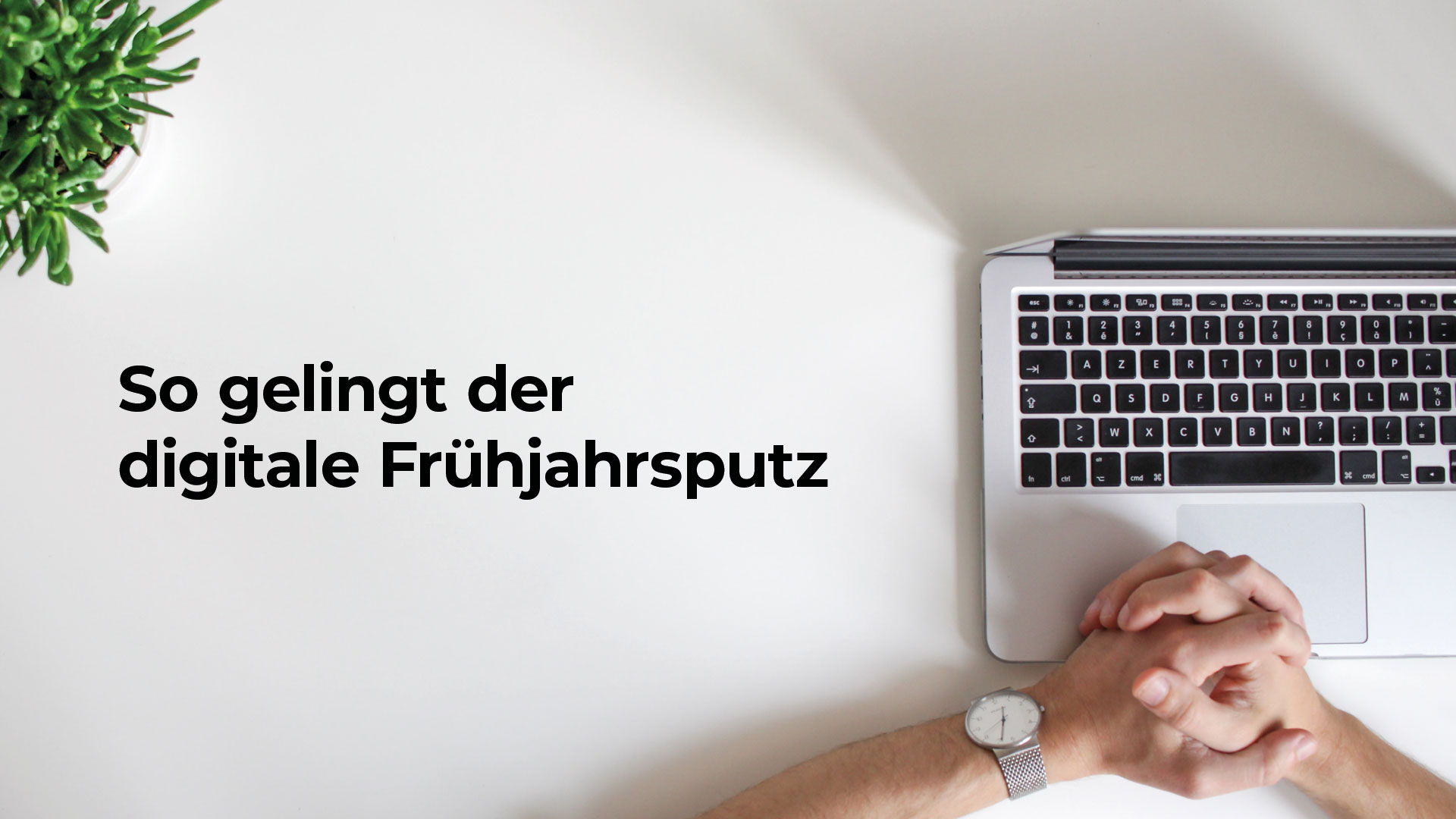 Das Bild zeigt einen sauberen, leeren Tisch, an dem ein Laptop steht. Es sind zwei Hände und eine Grünpflanze sichtbar.
